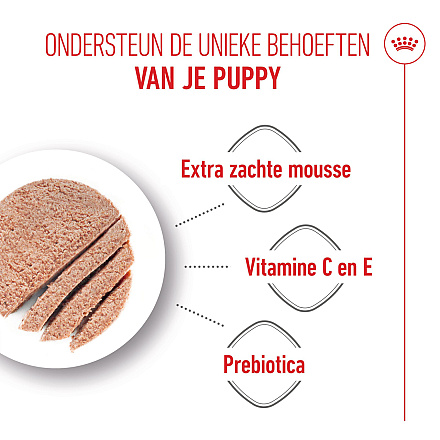 Royal Canin Hondenvoer Starter Mousse 12 x 195 gr