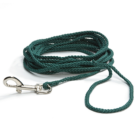 Beeztees Zoeklijn Groen