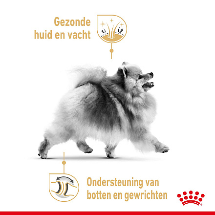 Royal Canin hondenvoer Pomeranian Adult 3 kg