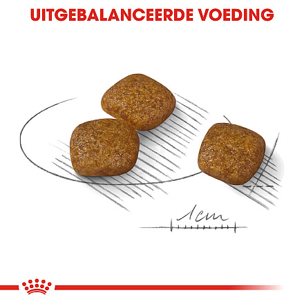 Royal Canin Hondenvoer Urinary Care Mini 1 kg