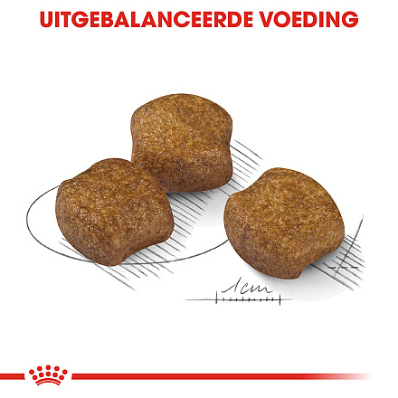Royal Canin Hondenvoer Dental Care Medium 3 kg