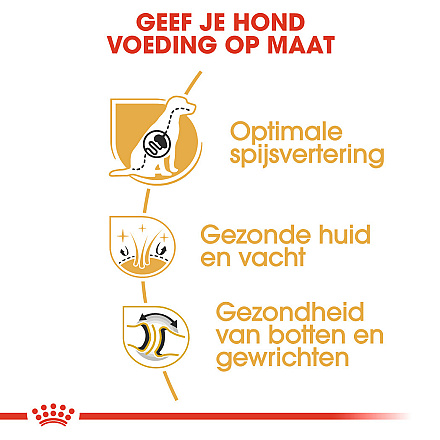 Royal Canin Hondenvoer German Shepherd Adult 3 kg