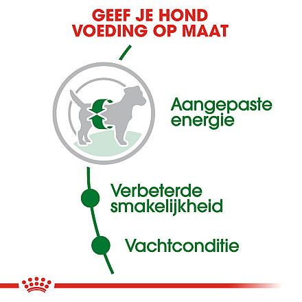 Royal Canin Hondenvoer Mini Adult 4 kg