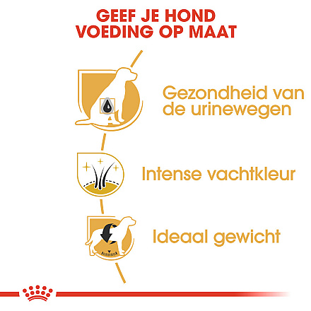 Royal Canin hondenvoer Mini Schnauzer Adult 3 kg