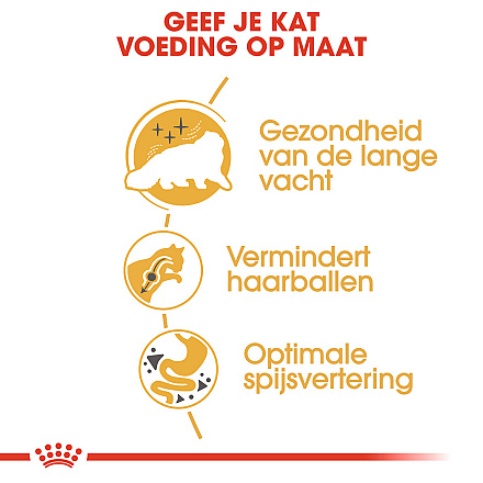 Royal Canin Kattenvoer Persian Adult 10 kg