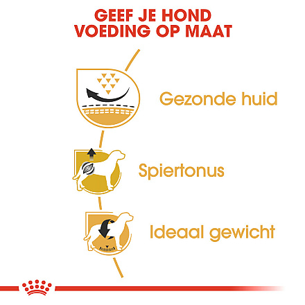 Royal Canin Hondenvoer Pug Adult <br>3 kg
