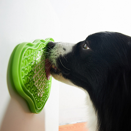 PetDreamhouse Paw Lick Pad Groen