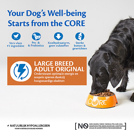 Wellness CORE hondenvoer Large Breed Adult 10 kg