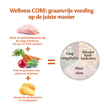Wellness CORE hondenvoer Large Breed Adult 10 kg