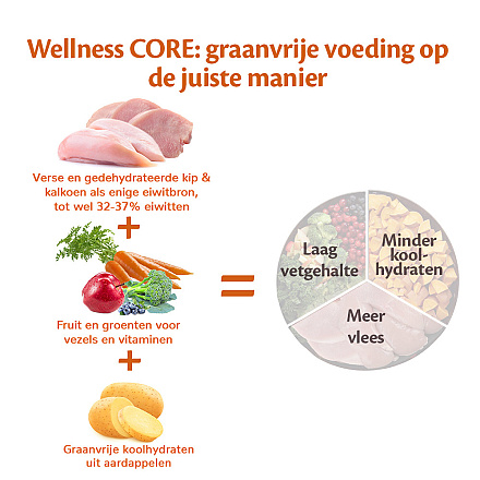 Wellness CORE hondenvoer Puppy <br>10 kg