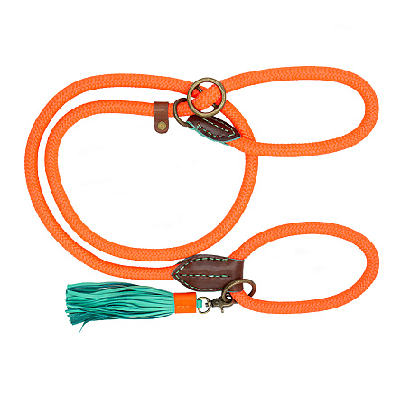 Dog with a Mission Sliplijn Long John Carrot Cake