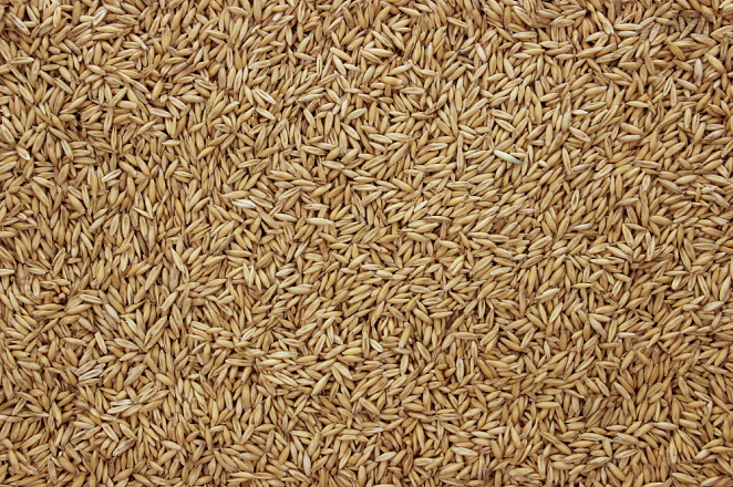 Haver Gepunt Blank Frans 4,5 kg