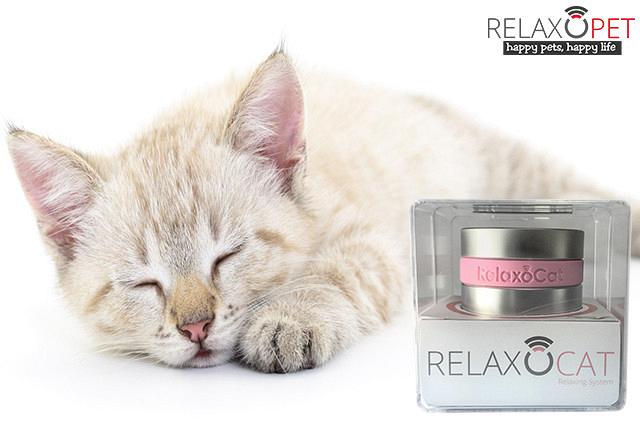 RelaxoCat Smart