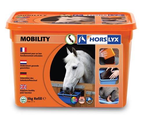 Horslyx liksteen Mobility Balancer 5 kg