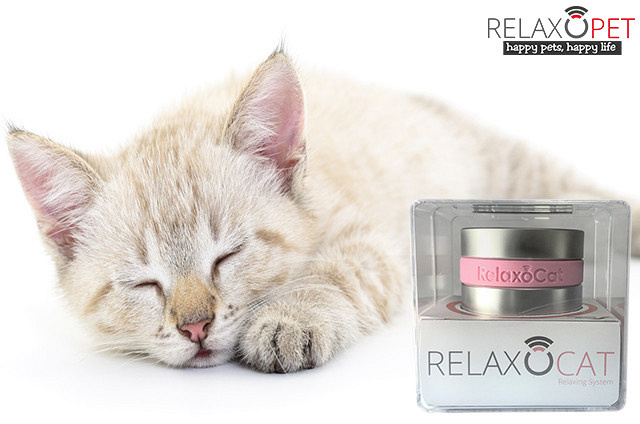 RelaxoCat Smart
